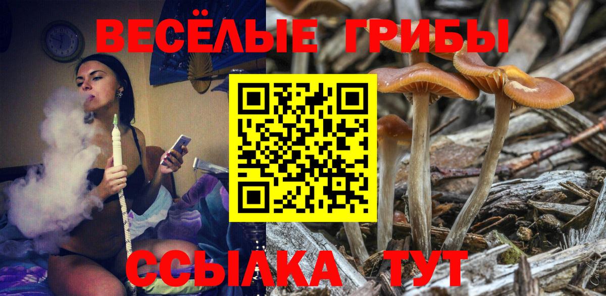 Галлюциногенные грибы Magic Shrooms  Галлюциногенные грибы MAGIC MUSHROOMS  Вход с VPN  Скопин 